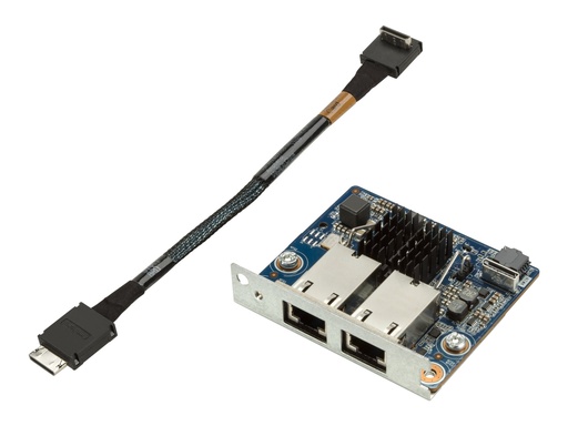 [1QL49AA] HP Z Dual Port Module - Netzwerkadapter - 10Gb