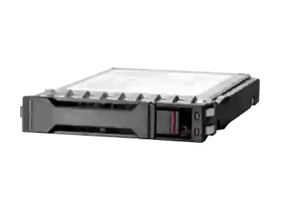 [P49029-H21] HPE SSD - Read Intensive - 960 GB - Hot-Swap - 2.5" SFF (6.4 cm SFF)