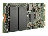 [P47818-B21] HPE SSD - Read Intensive - 480 GB - intern