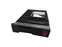 [P47807-K21] HPE SSD - Read Intensive - 480 GB - Hot-Swap - 3.5" LFF (8.9 cm LFF)